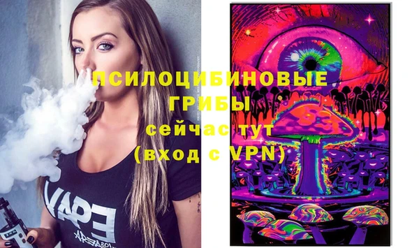 МДПВ Михайловск