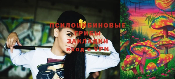 МДПВ Михайловск