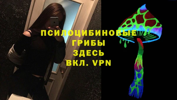бошки Михайлов