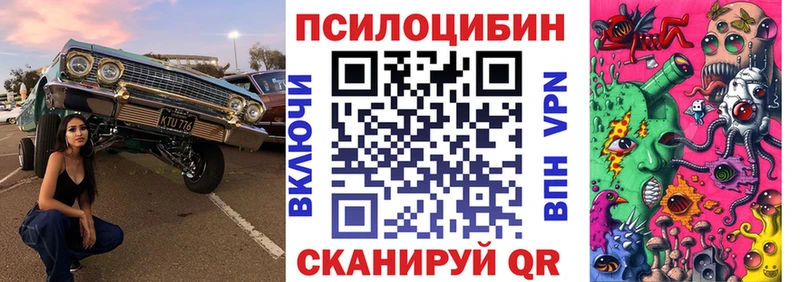 сколько стоит  Сысерть  Галлюциногенные грибы Psilocybe 