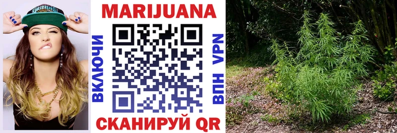 Бошки марихуана OG Kush  Сысерть 